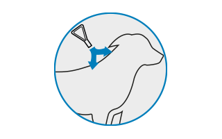 Ein Icon, das zeigt, wie sich Frontline Spot On unsichtbar verteilt.