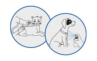 Frontline Spay anwenden