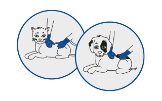 Frontline Spay anwenden