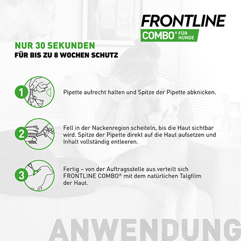 Die Anwendung von Frontline Combo für Hunde einfach erklärt.