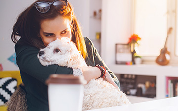 Gründe für ein Haustier