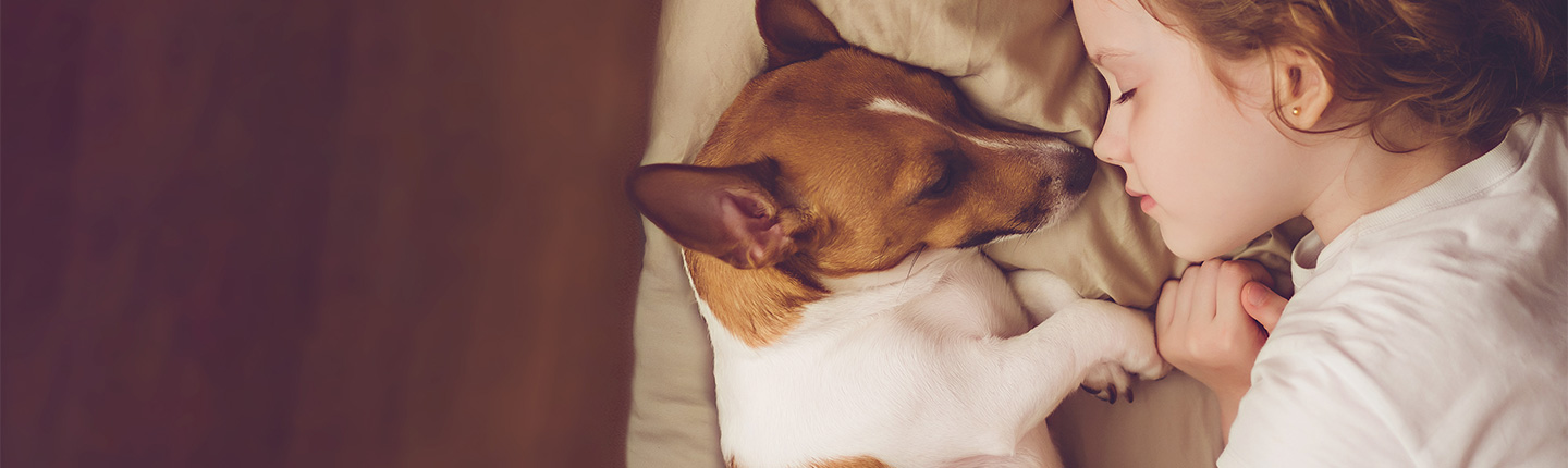 Ein Hund, der mit einem kleinen Mädchen kuschelt. Bei engem Kontakt mit seinem Haustier kann es zu Zoonosen kommen.