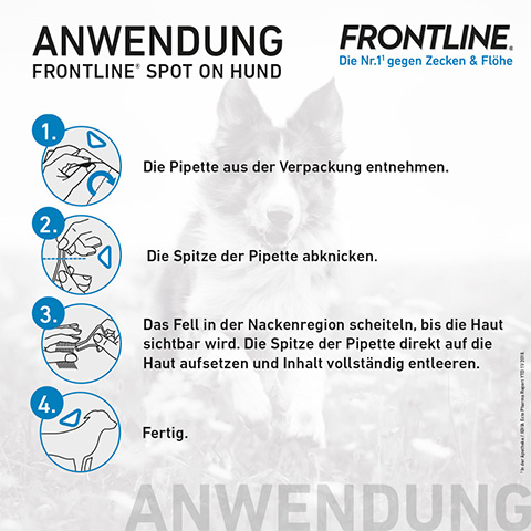 Die Anwendung von Frontline Spot on für Hunde.