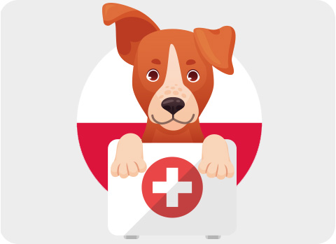 Eine Reise mit Hund nach Polen erfordert eine gute Reiseapotheke inklusive Parasitenschutz wie Frontline.