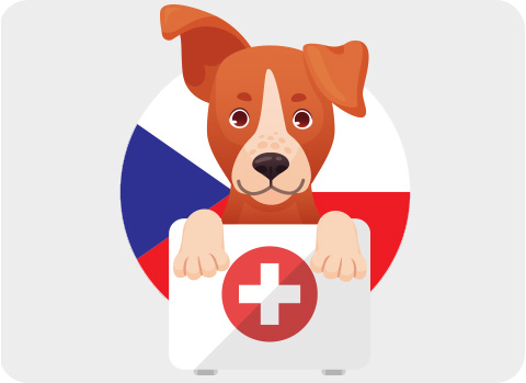 Eine Reise nach Tschechien mit Hund sollte mit Floh- und Zeckenschutz beginnen.