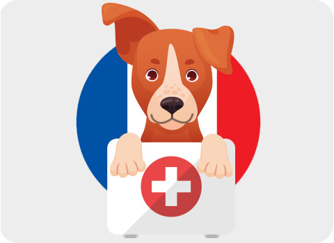 Bei einer Reise mit Hund nach Frankreich an Floh- und Zeckenschutz denken.