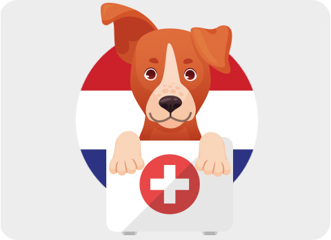 Die Deutschen reisen mit ihrem Hund gerne in die hundefreundlichen Niederlande.