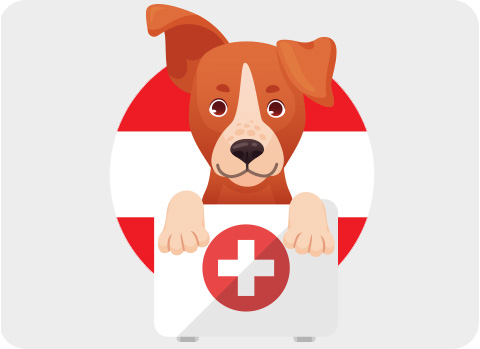 Bei einer Reise mit Hund nach Österreich Floh- und Zeckenschutz nicht vergessen.