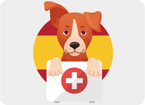 Bei der Reise mit Hund nach Spanien benötigt es eine effektive Reiseapotheke.