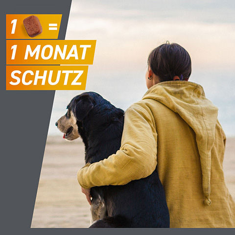 Frontpro kann bei Hunden von 10-25 monatlich angewendet werden und schützt so mit einer Packung volle 3 Monate.
