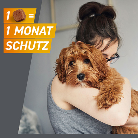 Eine Tablette Frontpro schützt Hunde bis zu 30 Tage gegen Zecken und Flöhe.