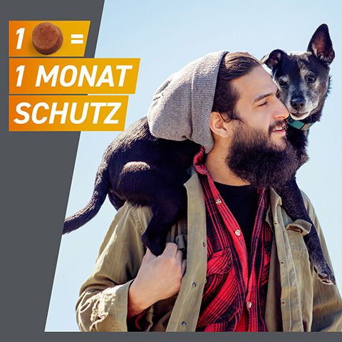 Frontpro schützt Hunde mit nur einer Tablette einen ganzen Monat lang.