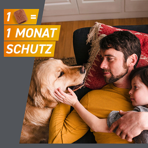 Frontpro bietet einen vollen Monat Schutz - mit nur einer Kautablette.