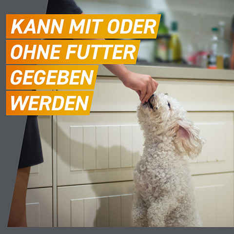 Frontpro kann als Floh- und Zeckenschutz Hunden mit und ohne Futter gegeben werden.