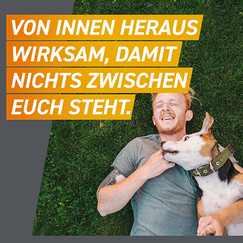 Die FRONTPRO Floh- und Zeckentablette für Hunde wirkt von innen heraus.