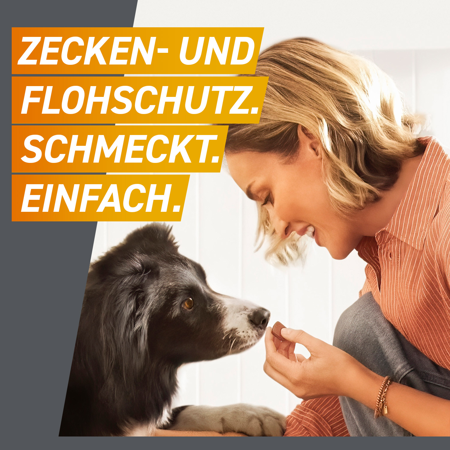 Zecken- und Flohschutz. Schmeckt. Einfach.