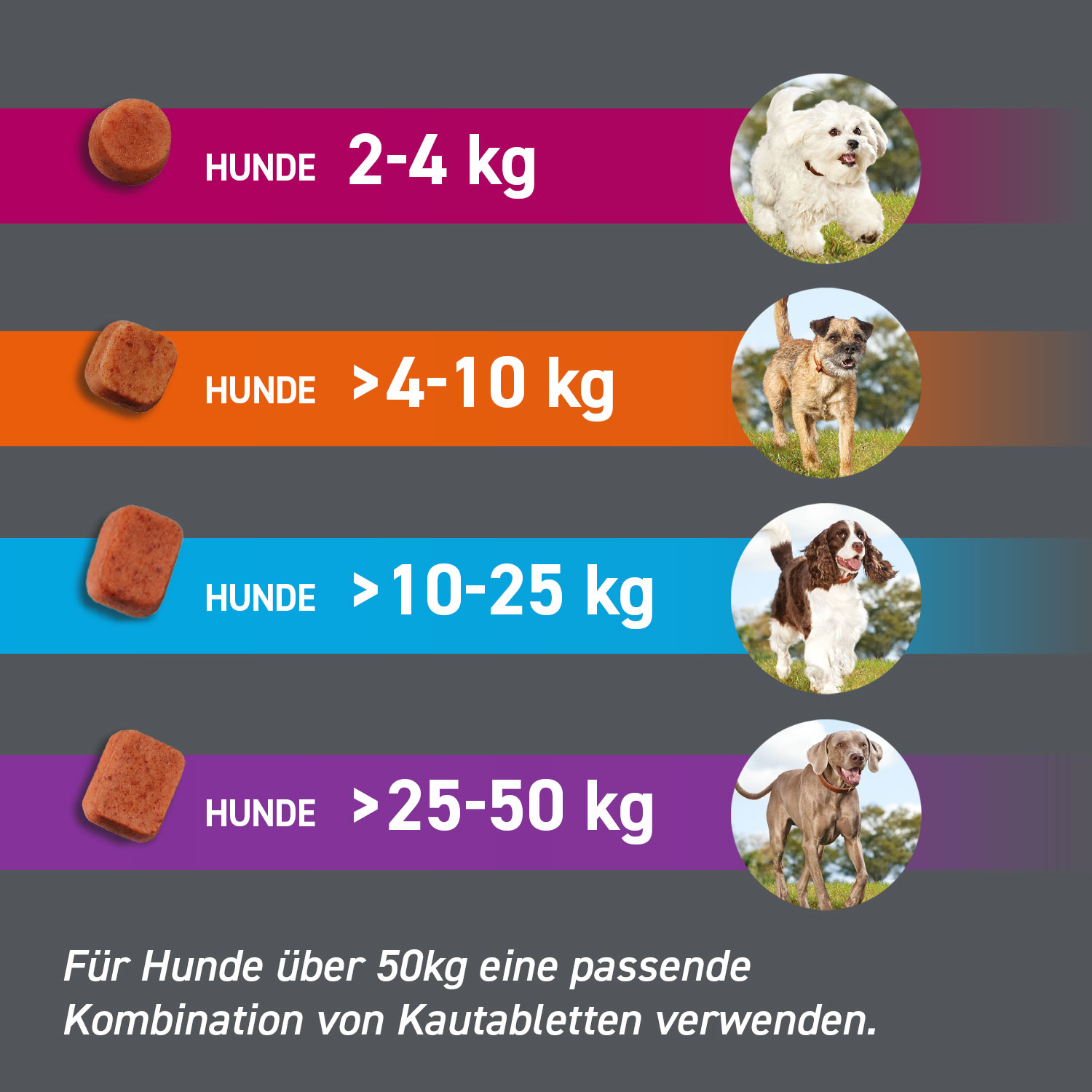Gewichtsklassen Frontpro Übersicht