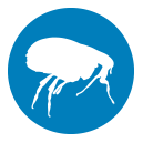 Frontline wirkt als Flohmittel gegen Flöhe verschiedener Arten.