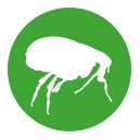 Frontline Combo Katze wirkt als Flohmittel gegen Flöhe bei Katzen.