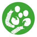 Frontline Combo Katze wirkt als Flohmittel gegen Floheier, Flohlarven und Flohpuppen bei Katzen und Frettchen.