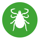 Frontline Combo Katze wirkt als Zeckenmittel gegen Zecken bei Katzen.