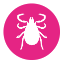 Frontline Tri-Act wirkt noch schneller gegen Zecken bei Hunden.